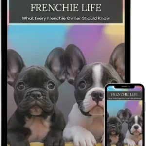 Frenchie Life Guide